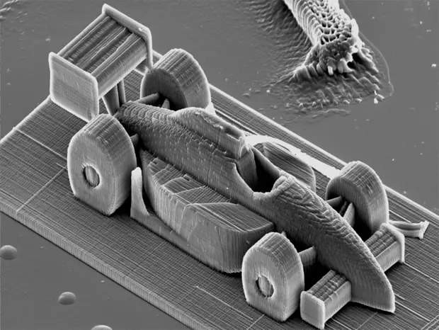 Micromundo impreso...impresionante