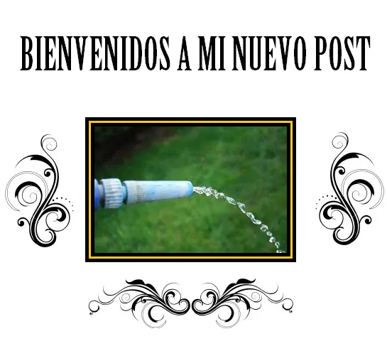 Guia del macho para orinar
