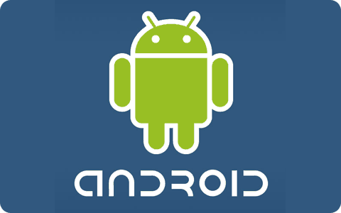 Android a Todo Linux, La Terminal