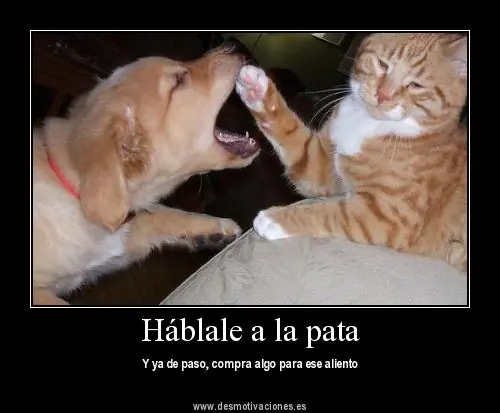 Para reirse un rato largo -Humor-