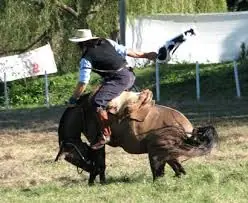 Asi es semana deTurismo , santa o criolla En Uruguay