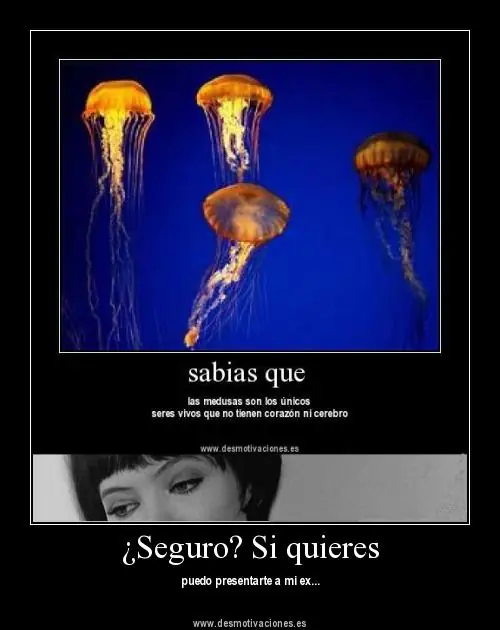 divertido