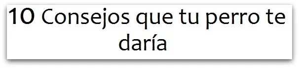 Los 10 consejos que tú perro te daria.