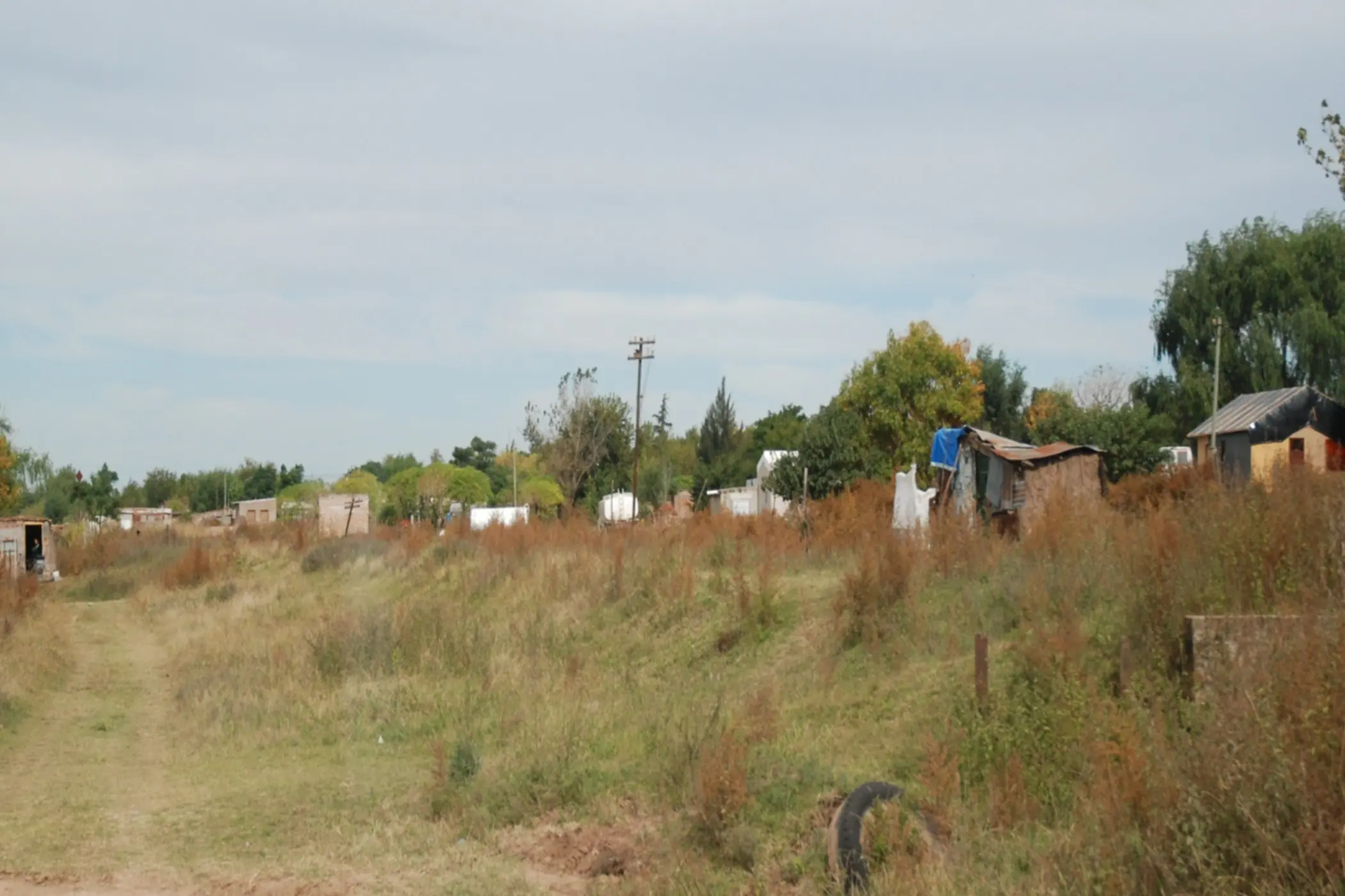 Mejorar la economia de tu hogar "Mi huerta Organica&
