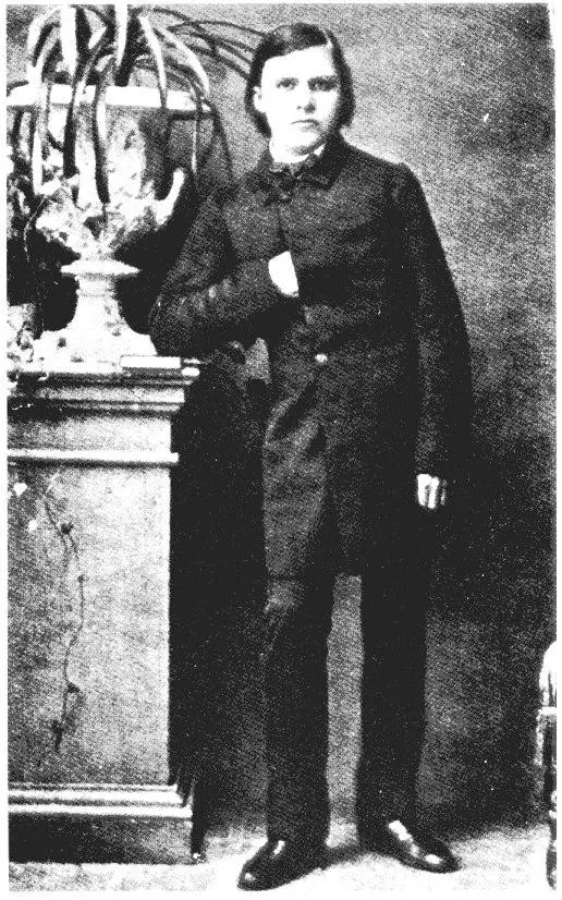 Nietzsche, a reflexionar se ah dicho, vida y obra.