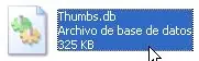 ¿No Podes Borrar El Archivo Thumbs.db?