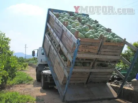 vegana