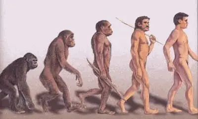 homologacion