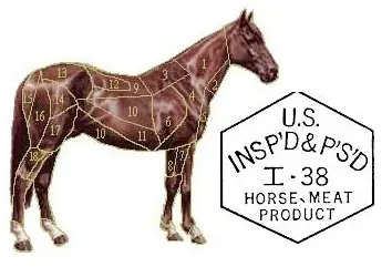 Carne de Caballo, el negocio tabú en Argentina