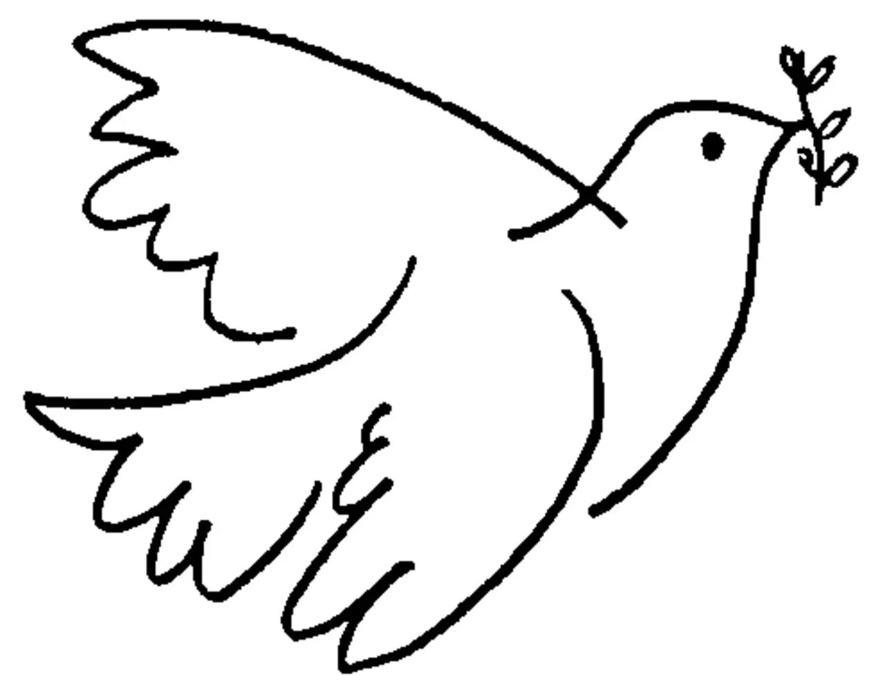 Hagamos valer nuestros derechos humanos!