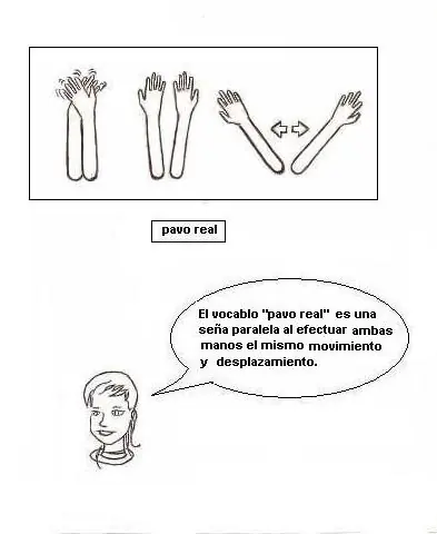 sustantivos