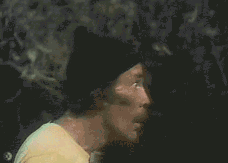 El pogo mas grande del mundo.