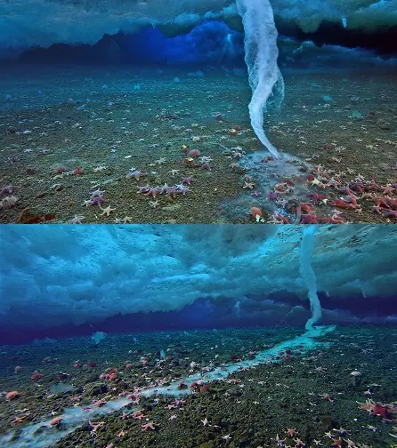 Los brinicles, estalactitas de hielo en el mar
