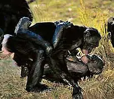 Ser homosexual va en contra de la naturaleza.