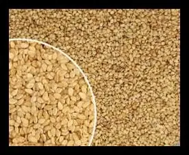 Consumir minerales y vitaminas de forma natural