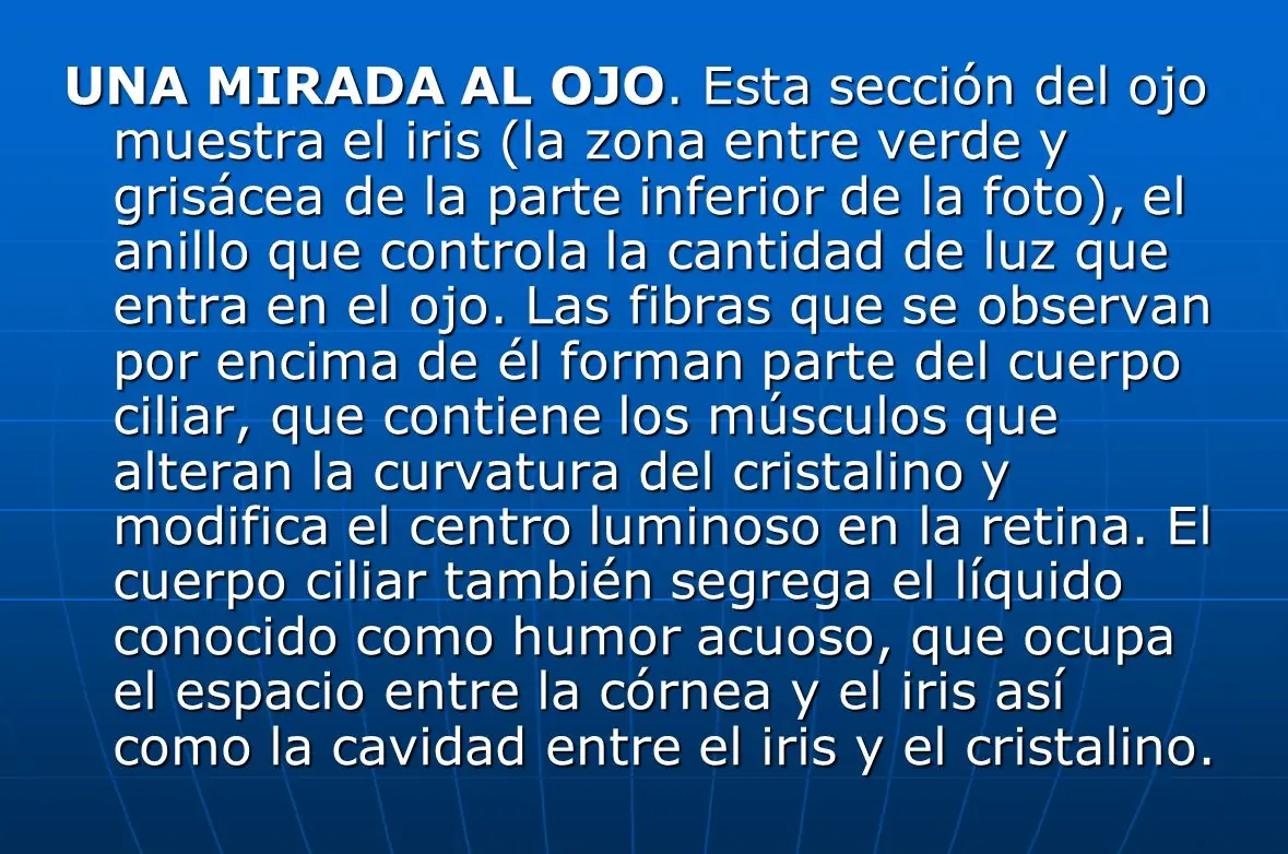 fotos