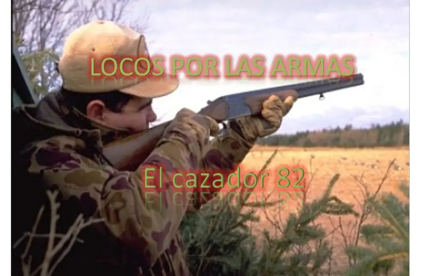 Los mejores Rifles de Francotirador