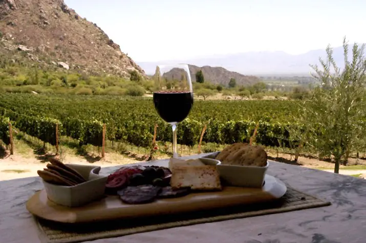 Una tierra de viñedos donde nace el vino torrontés…Cafay