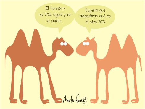 consejos
