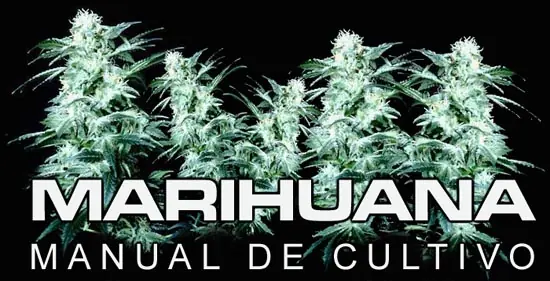 Cultivo y Cosecha de Marihuana (Primera parte)