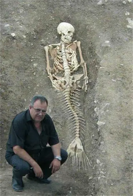 El Esqueleto De la Sirena. ¿real?