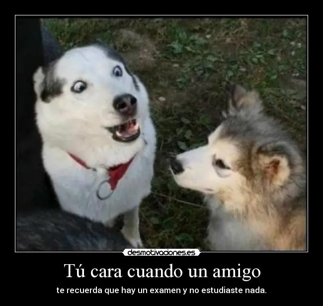 Humor en imagenes-Septima parte.