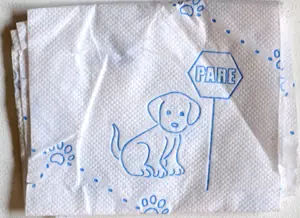 El Cachorrito De Scott Es En Realidad Un Viejo De 11 Años