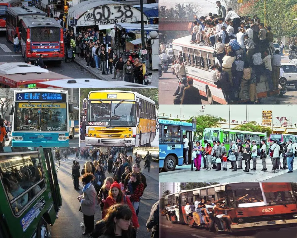colectivos