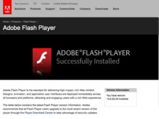 Flash Player, ¿camino a la extinción?