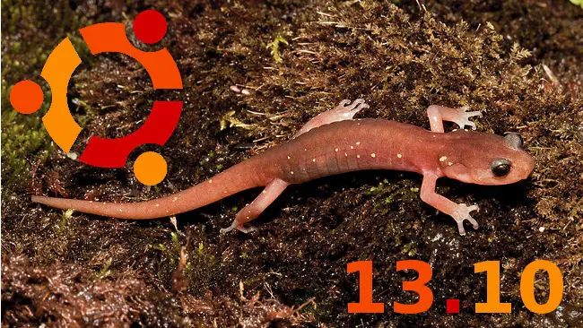 Ya hay nombre para Ubuntu 13.10: Saucy Salamander
