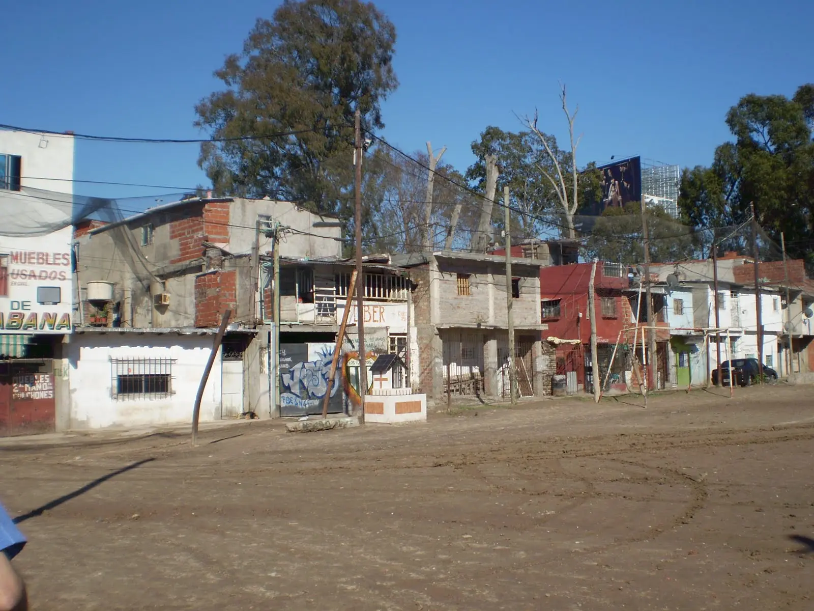 Como plantar un arbol y luchar contra el hambre