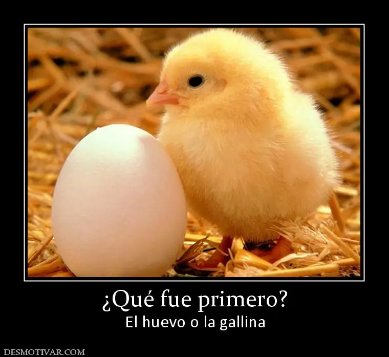 evolucion evolucion