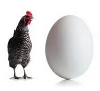 Se termino el enigma.