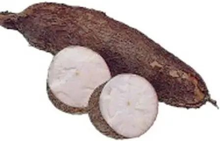 verduras