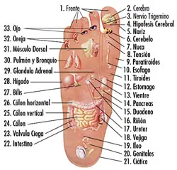 Masajes relajantes en los pies.