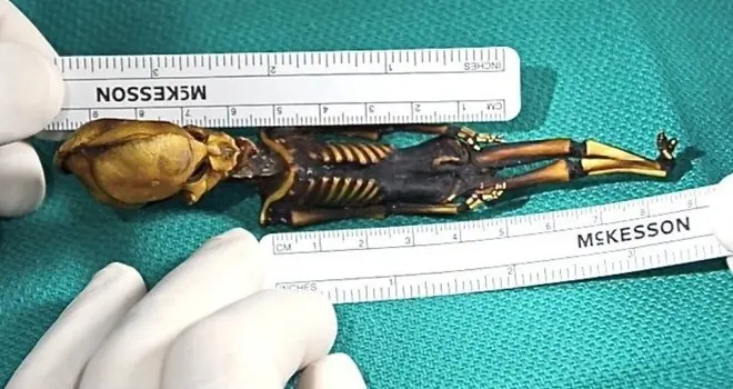 Resuelven misterio del supuesto “extraterrestre momificado