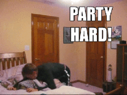 Gifs