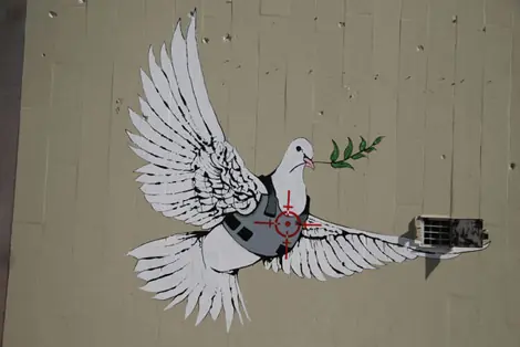 Roa