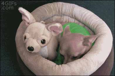 gifs