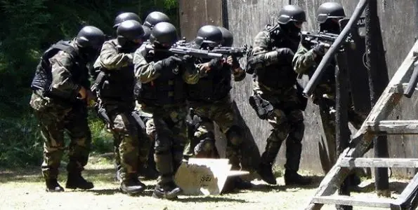 fuerzas especiales