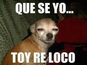 y vos estas