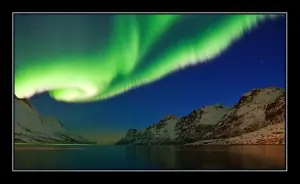 aurea polar