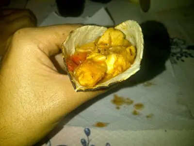 Fajitas de Pollo al Disco