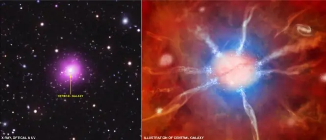 Phoenix Cluster bate récord en formación de Estrellas