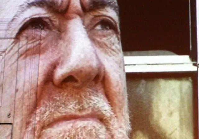 Symns, Cerdos y peces, esas cosas...