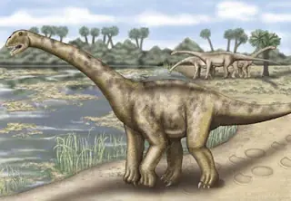 Hallan en España el cráneo del dinosaurio más grande de E