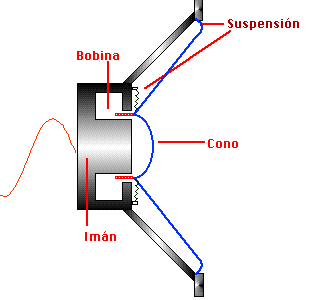 Partes de Bocinas ( Altavoces o Parlantes )