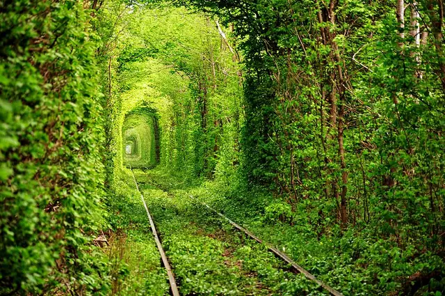 Un vortice al Paraiso