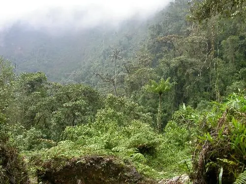 ¿sabias esto de colombia?