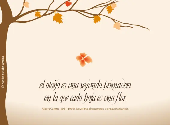 frases